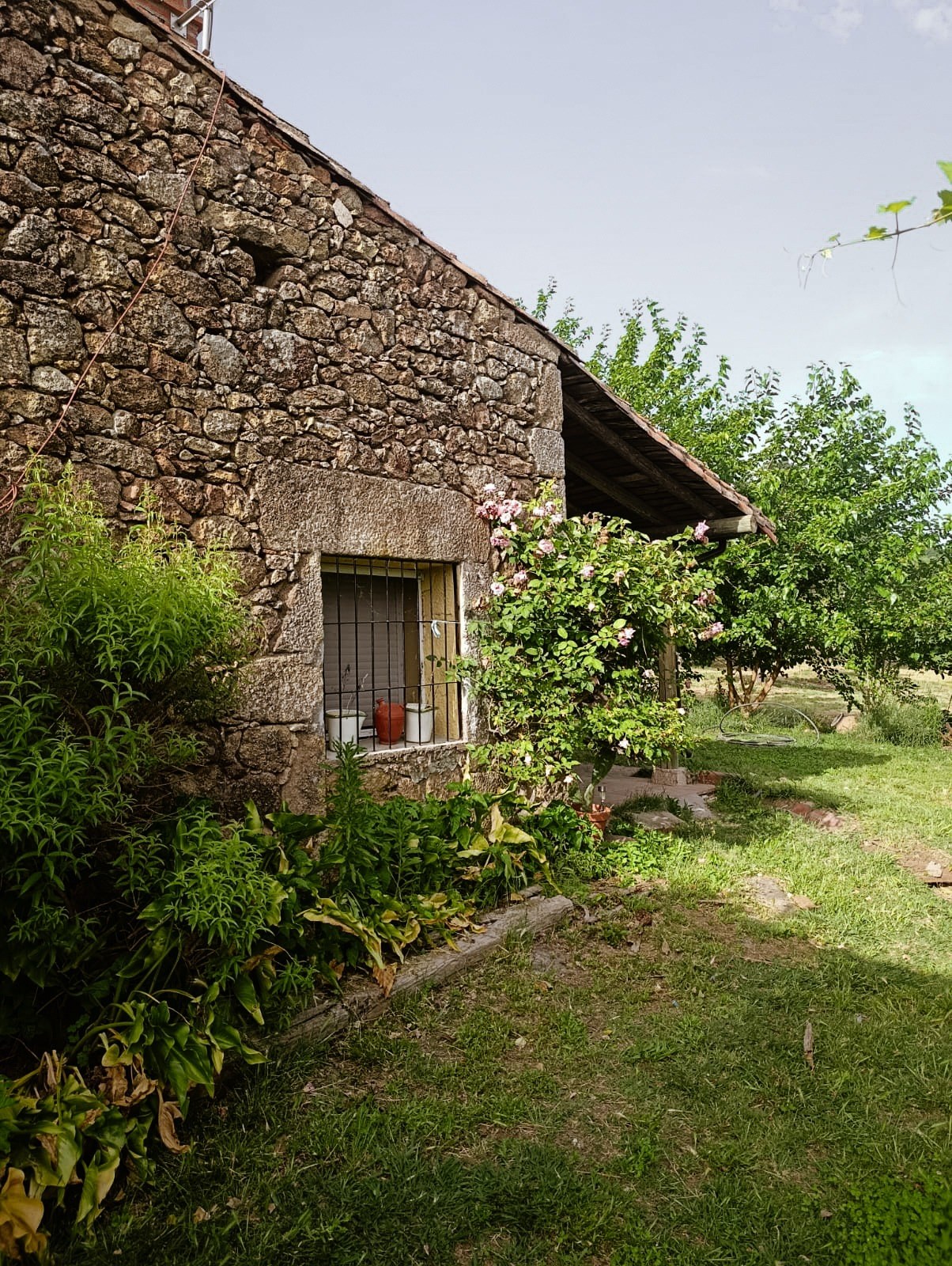 Casa y finca de piedra vinculada al origen real de Origen Vetón