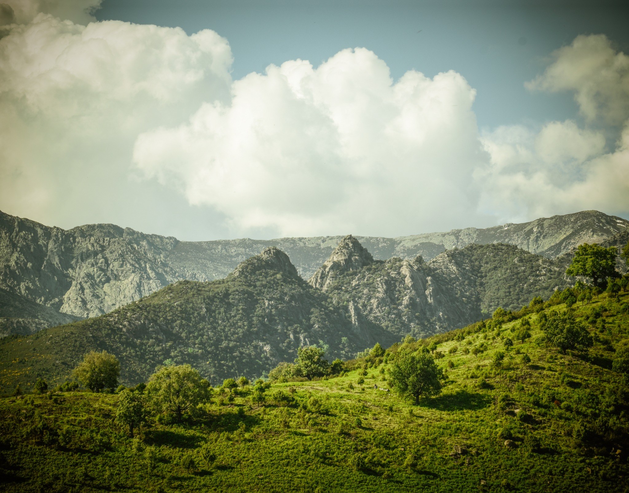 Panorámica verde de la Sierra de Gredos vinculada a Origen Vetón