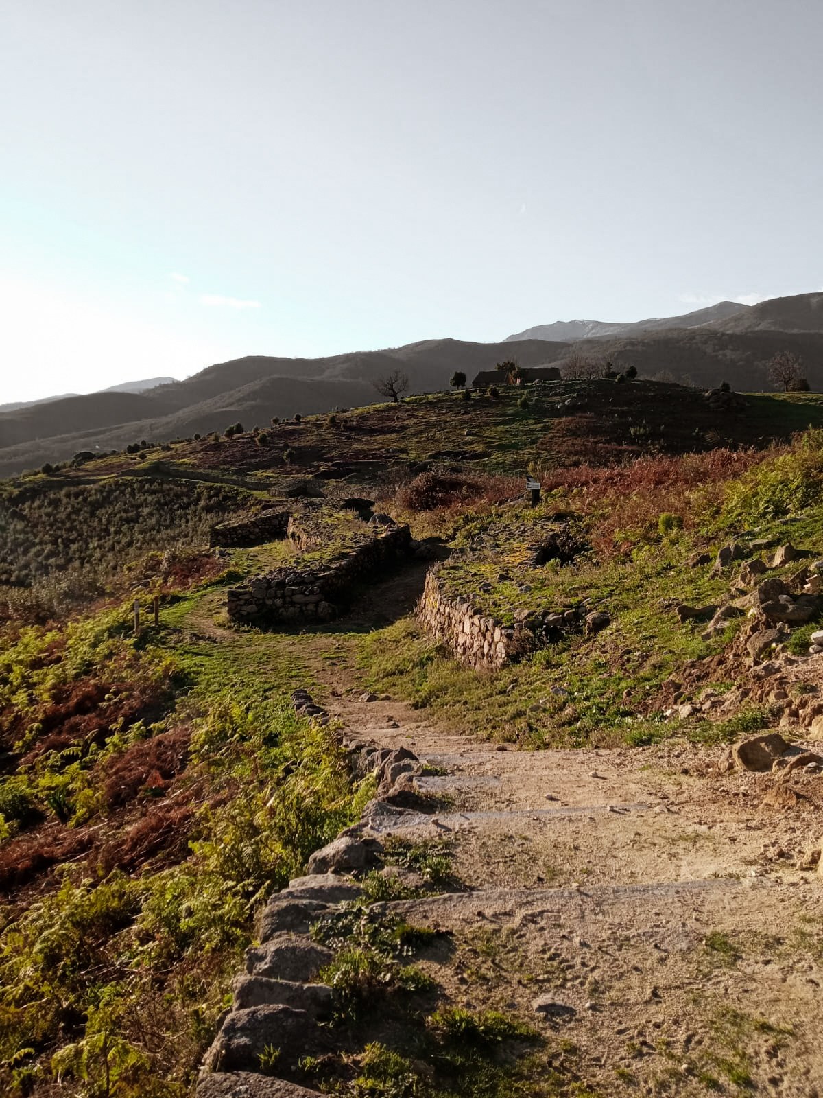 Camino y bancales de piedra en el territorio de El Raso